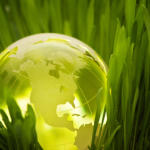 Corporate Consciousness in Hospitality
